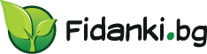 Logo Fidanki